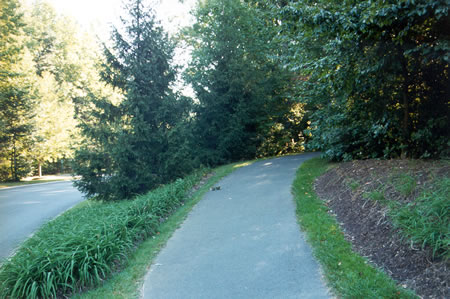 Turn left onto the asphalt path along North Village Rd.