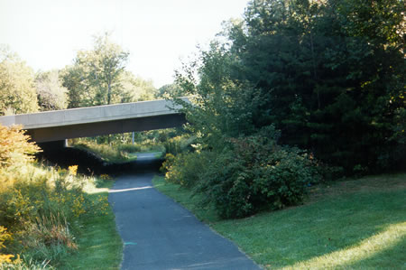 The path goes under Wiehle Ave.