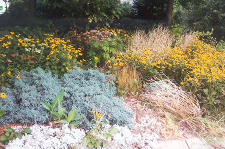 This garden on the right is just prior to Lamplighter Way.