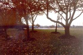 To visit the dog park cut through the trees just after passing Longwood Grove Dr on the left.