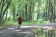 Pohick Stream Valley - Burke VRE Trail