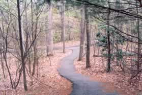 The sidewalk connects to an asphalt trail through the woods.