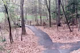 Continue straight past the intersecting trail from the right and cross the bridge over the stream.