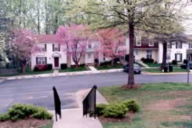 At the end of the sidewalk walk down the steps and cross Sassafras Woods Ct.