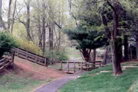 The trail goes behind the homes and crosses a short bridge.  Continue straight on this trail.