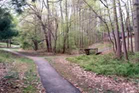 Follow the trail along a stream until the next trail intersection on the right.