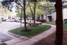 At the top of the hill turn right to follow the sidewalk with the apartments on your right. The road is Chase Commons Ct.