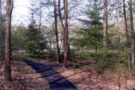 Turn right at the next trail intersection to pass on the right side of the tennis courts.