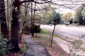 The trail goes down the hill and joins a wide asphalt trail at the bottom.  Continue in the same direction.