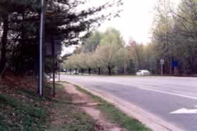 After crossing Roberts Pwy follow the dirt path along Burke Centre Pwy.