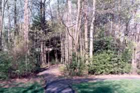 After crossing Burke Centre Pwy turn right onto the asphalt path as it enters the wooded area.