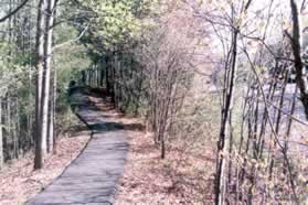 Turn right onto the intersecting trail and follow that trail north along Roberts Pwy.