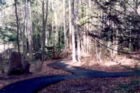 The path appears to curve to the right at the next intersection.  Keep to the left path.