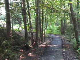 After crossing the bridge the trail turns right and follows the stream down hill.