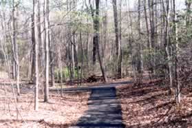 At the next trail intersection take the trail to the left.