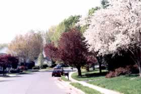 Cross Burnside Landing Dr. and take the sidewalk to the left.