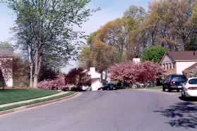 After reaching Oak Leather Dr. cross that street and turn right to follow the sidewalk along that road.