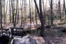 After a short distance the trail crosses a bridge. Turn right at the next intersecting trail and walk up the short hill between the homes.