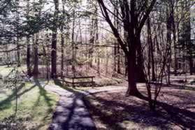 At the next trail intersection keep to the right.