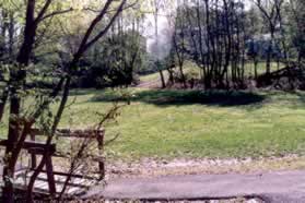 Turn left and cross the bridge at the next trail intersection.