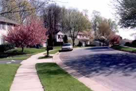 The trail intersects with Steamboat Landing Ln. Turn left and follow the sidewalk along that road.