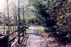 An asphalt trail intersects from the left. Continue straight on the present trail.