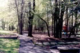 A flagstone path intersects from the right. Continue straight on the asphalt trail.