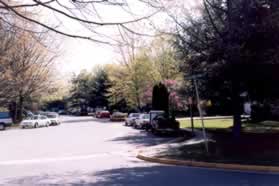 At the next intersection take the right sidewalk along Pond Spice Ln.