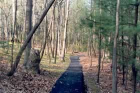 Take the intersecting trail to the right through the wooded area.