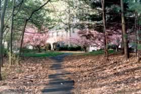 The trail connects to Oakview Park Dr.