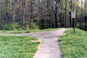 Turn left at the next trail intersection to walk over the dam.