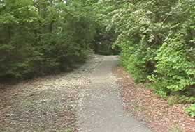 The asphalt trail cuts through a short wooded section.