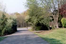 The service road intersects with an asphalt trail just prior to a vehicle barrier.