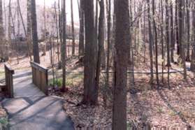 The path turns slightly to the left to join an intersecting path. Turn right to continue through the woods.