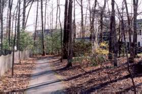 The path turns right to continue in the woods.
