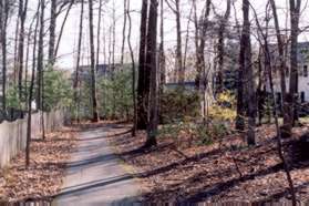 The path turns right to continue in the woods.