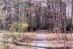 After a short distance the path turns left to continue through the woods with houses on the left.