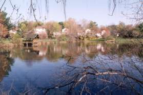 This is a view of the pond on the left.