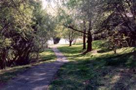 The path crosses Windward Dr and continues between the houses.