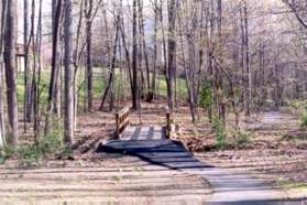 After crossing the next bridge turn left to follow the asphalt trail up the hill along the intersecting stream.