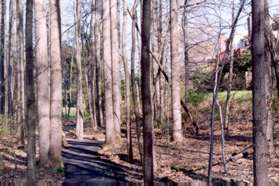 The path goes up a hill with town houses on the right.