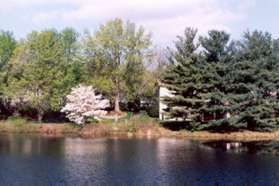 After crossing Wilmington Dr this pond appears.