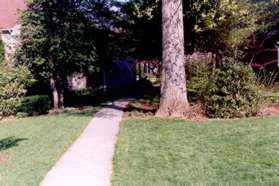 The gravel path leads to a concrete walk between the houses.