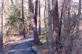 Cross Marshall Pond Rd and follow the asphalt path along the other side. The view shown is just after the power transformers adjacent to the street.