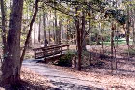 Stay on the path to the right with woods on the right and homes on the left.