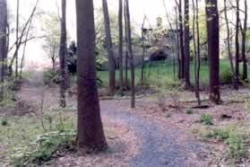 A trail intersects from the right.  Continue straight up the hill on the present trail.