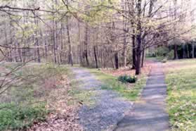 Continue straight past the intersecting gravel trail.