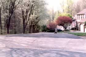 The street narrows and the sidewalk ends.  Continue along the street for a short distance.