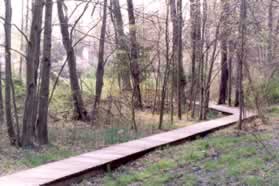 The gravel trail leads onto a boardwalk across a wet area.