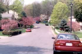 After crossing Wheaton Dr the sidewalk is located on the other side of Natick Rd.